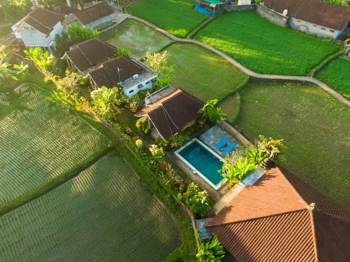 Villa Glassy By Pramana Villas *